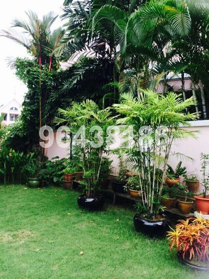 Highgate (D21), Terrace #70802941